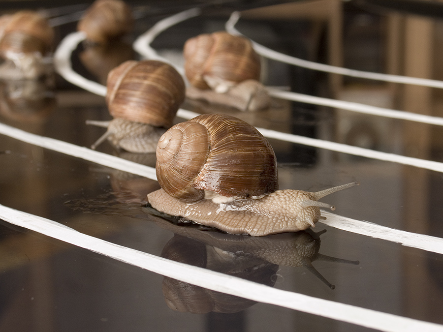 über Sport, du Frieden