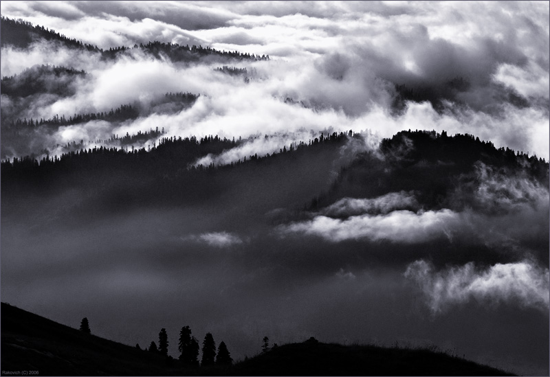 Friedhof der Giganten