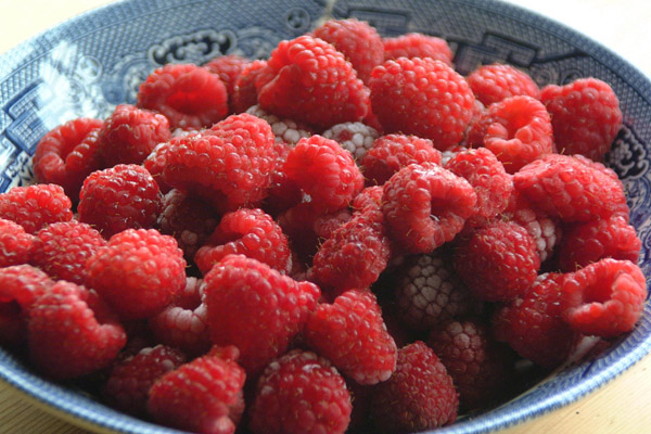 Schale Himbeeren