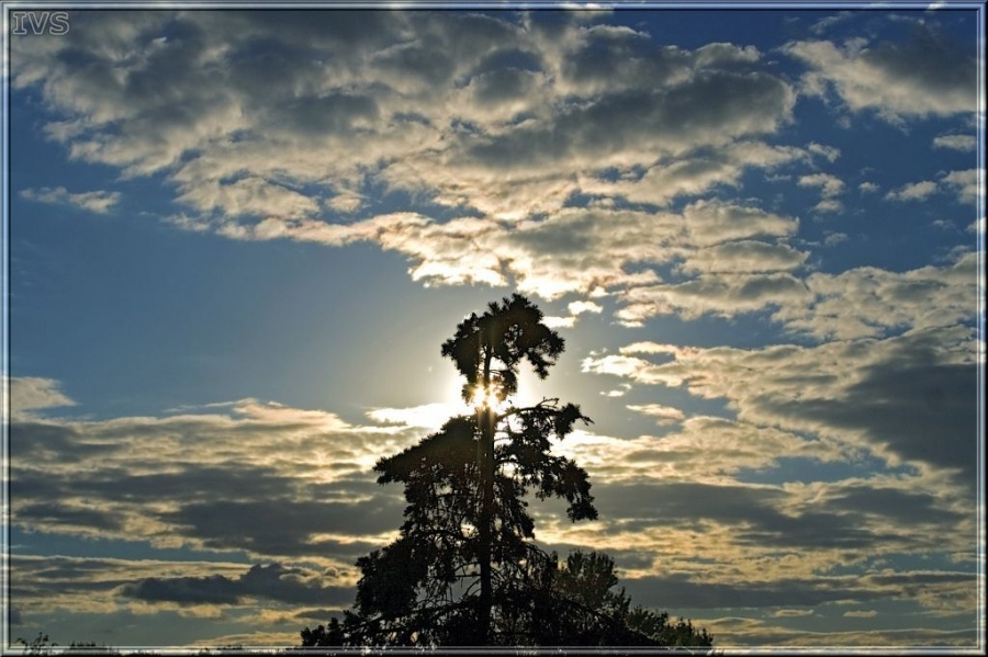 Unwahrscheinlichkeit der Wolken