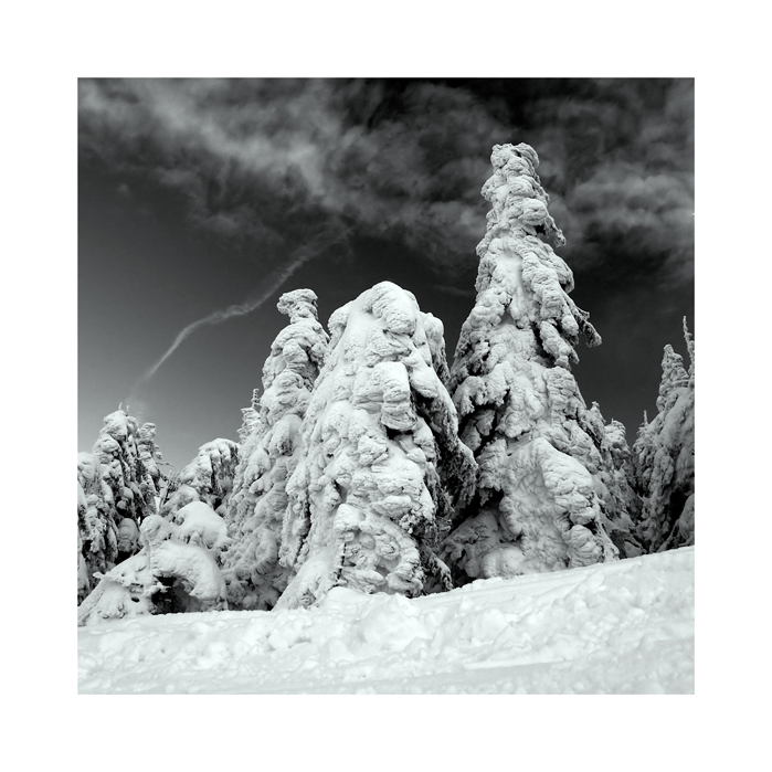 ruht gegen den Himmel ...