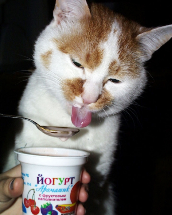 Dies ist keine Werbung