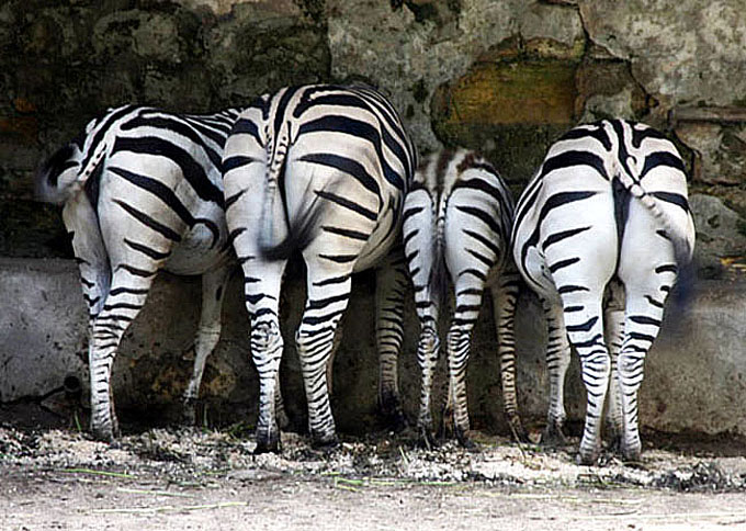 Drei Mädchen (4) II