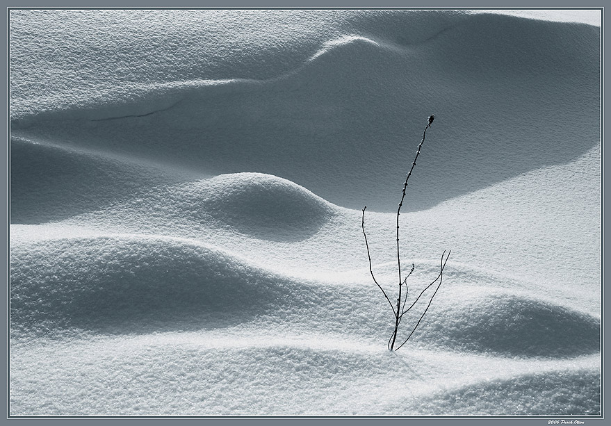 Die Textur eines Winter (On Snow Dunes)