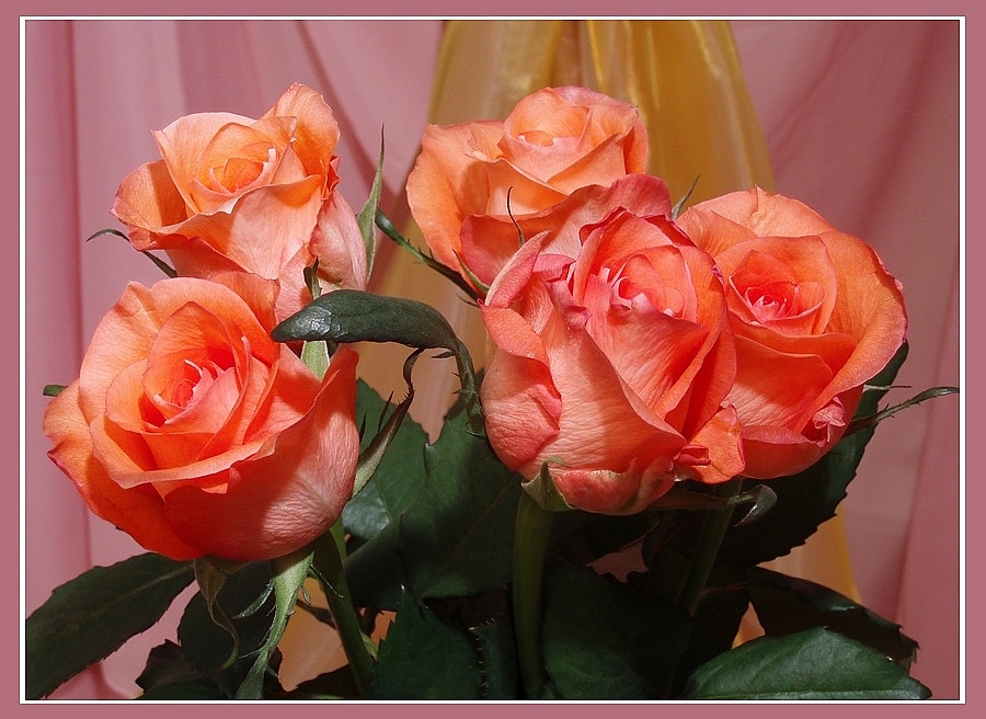 Rosen zum Valentinstag