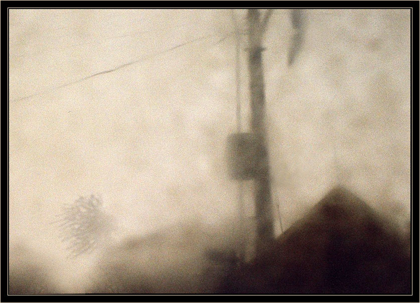 Auf einen Igel im Frühjahr