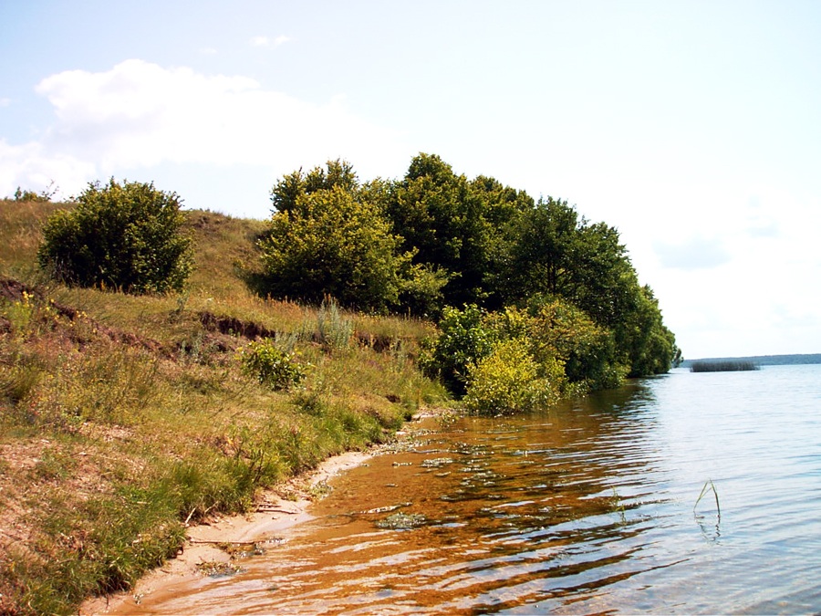 der Vergangenheit nicht sagen