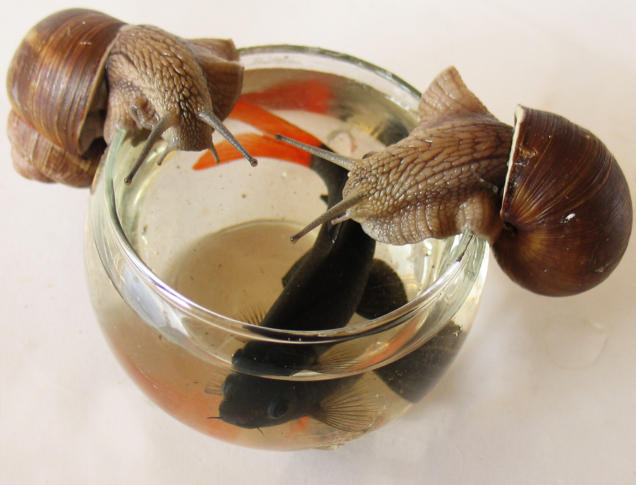 Was machst du hier, oder?