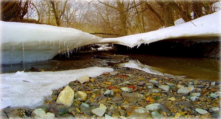 y perspektyve - Vesna!