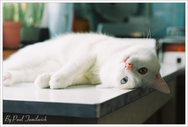 Etwas, das ich traurig