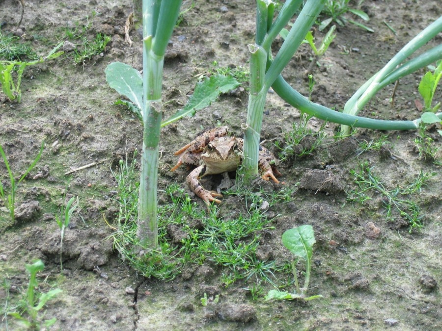 Bestes Foto-Modell =)