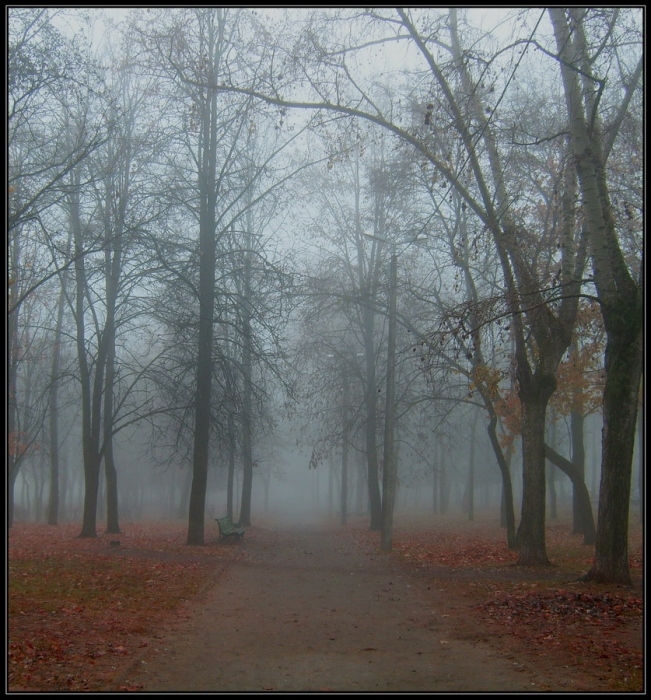 Es gibt einen Nebel ...