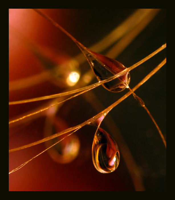 Ein Blick auf Herbst