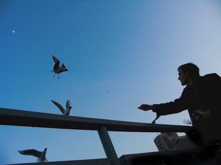 * Himmel, Möwen, Minsk ...*