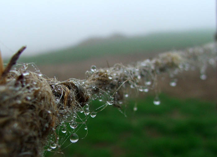 Whirlpool (jemandes Seele)