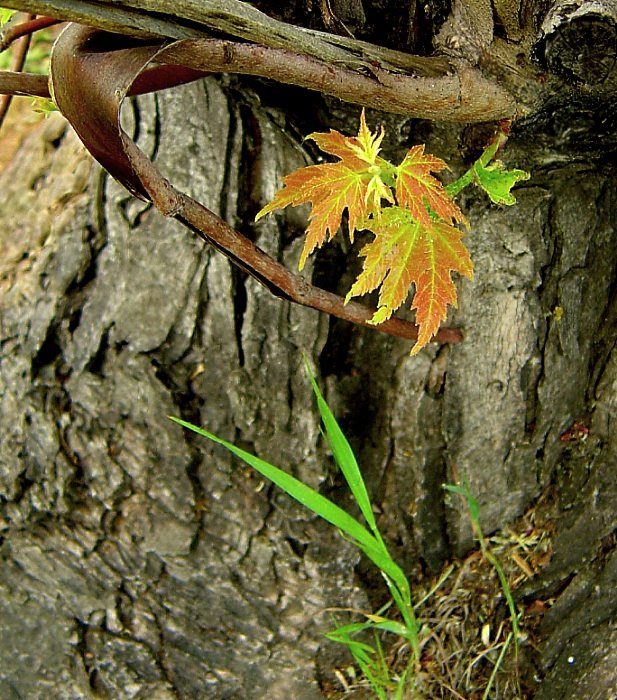 das ist erst der Anfang ...