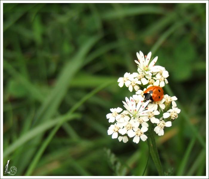 Neskuchne Einsamkeit