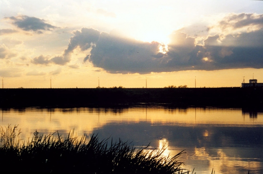 Und aus Farbe und Ton stumm ...