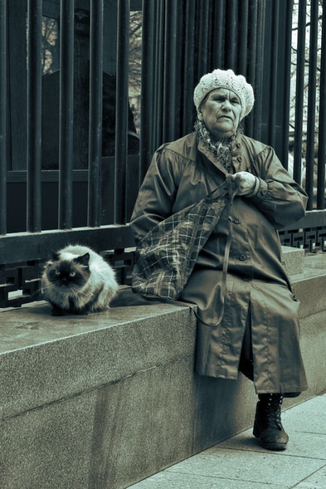 Fuhren durch die Straßen der Katze ...