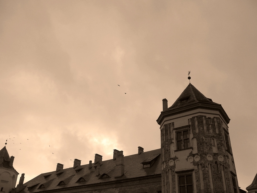 Vogel ... Abends ... Frieden