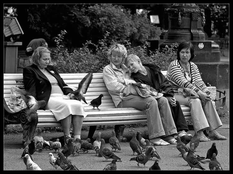 Noon im Katkinom "Garten