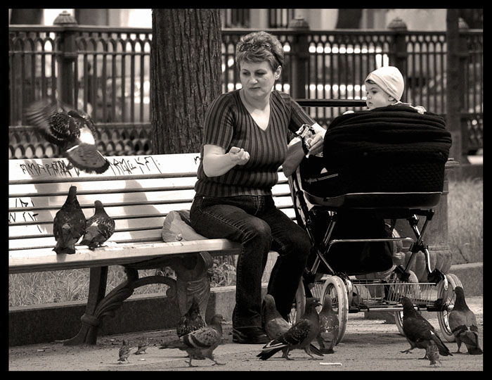 Olubi am Patriarchen Tauben füttern am Teich