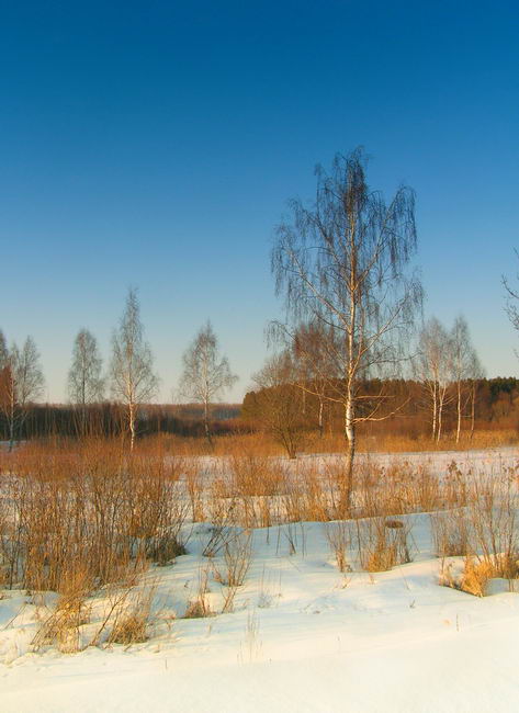 Pamizh zimoyu i Viasna