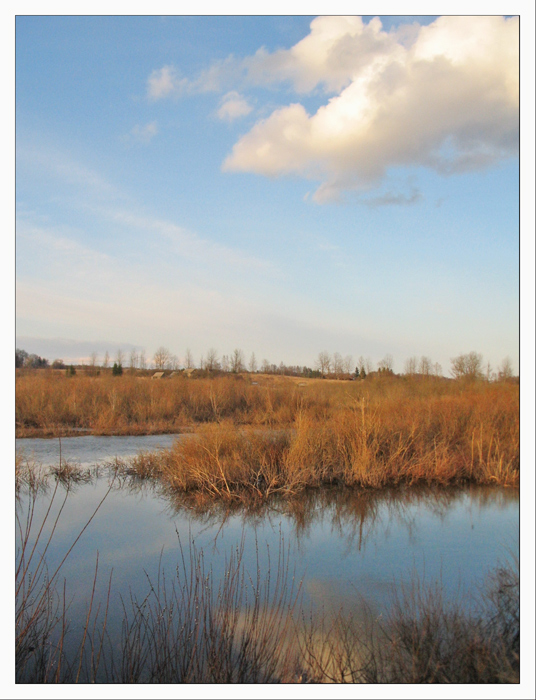 frühlingshaften fallen