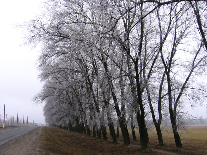 Letztes Aufbäumen des Winters