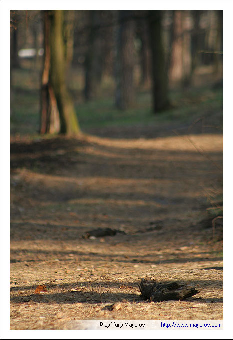 Fotos von Juri Maiorov