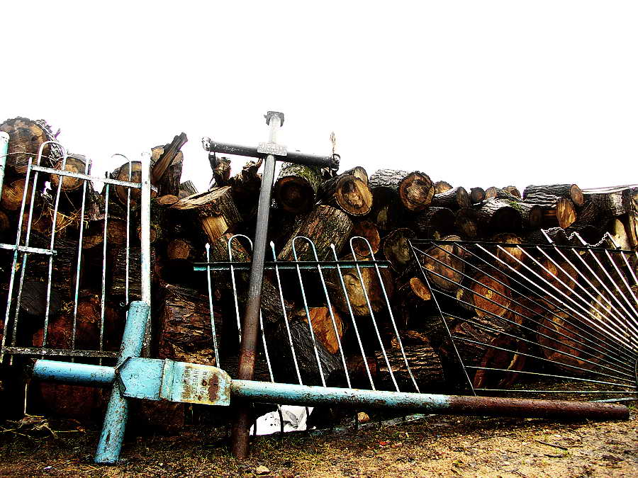 * Der ruhigste Ort in der Stadt *