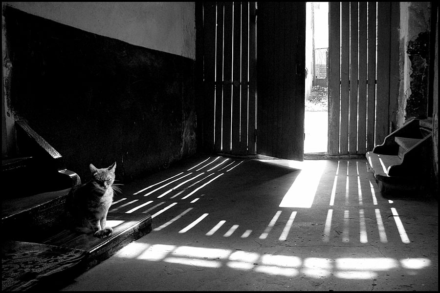 Über lieb und teuer