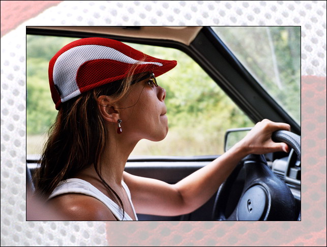 In wärmere Gefilde!