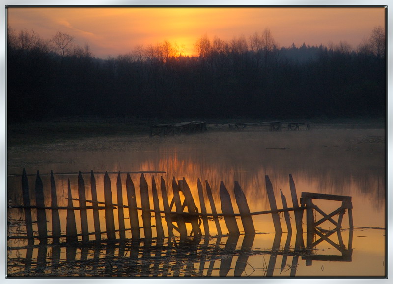 Entlang des Zauns ...