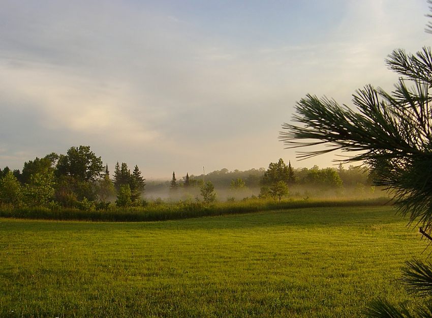 lyubyats Rasen hier:)