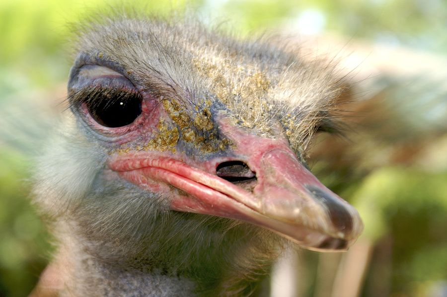 Ein umische etwas zu tun?