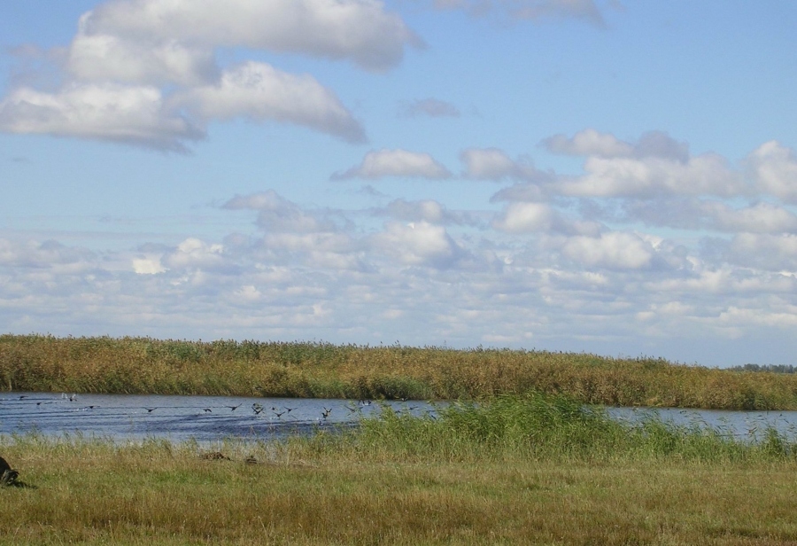 See in der Nähe s.Almenevo (Gebiet Kurgan).