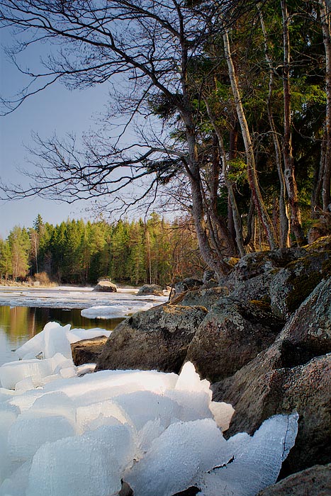 Im vergangenen Winter Zuflucht