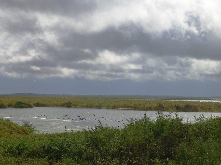 Der Himmel im Herbst dyschalo ...
