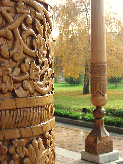 Das zweite Leben des Baumes