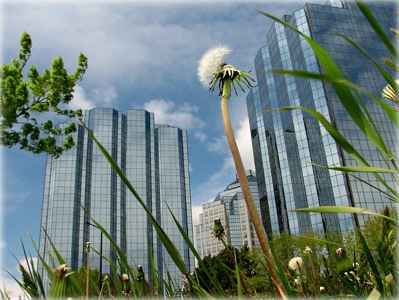 ablokam abgeschnitten zayzdrostsyats ...