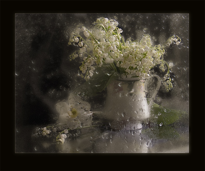 Über die Maiglöckchen ...