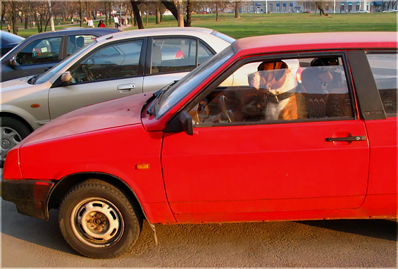 Vorsicht schlechte Fahrer:)