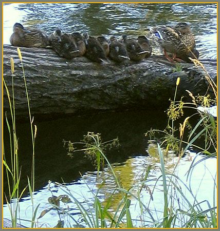 Sieben von den Geschäften ...