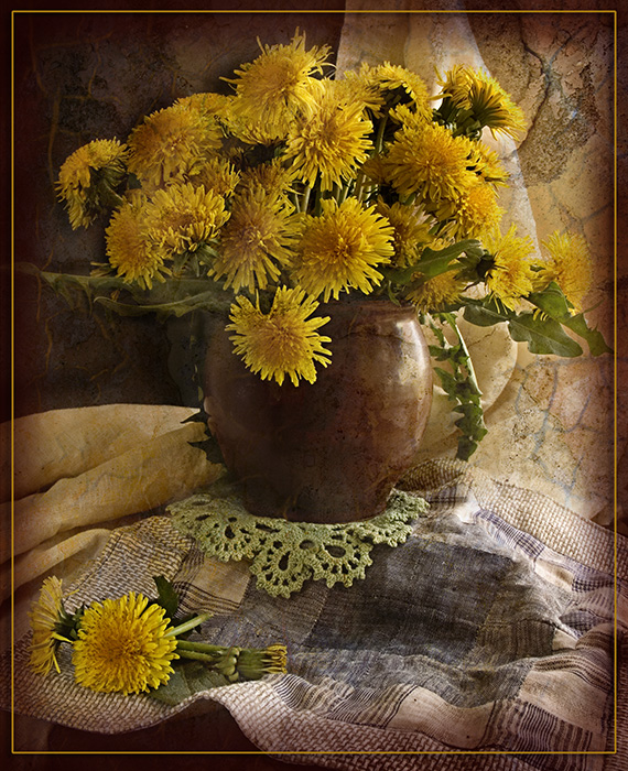 Oduvany in einem Tontopf