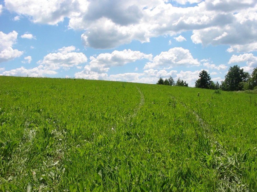 Weg in den Himmel (oder unsere Antwort auf Bill Gates)