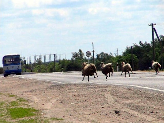 bei 60 Stundenkilometer