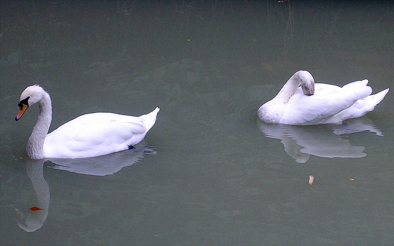 In Sotschi Arboretum