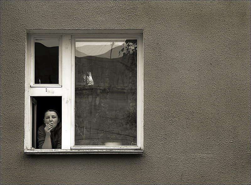 Und von unserem Fenster, hatte die jüngste Katze ...