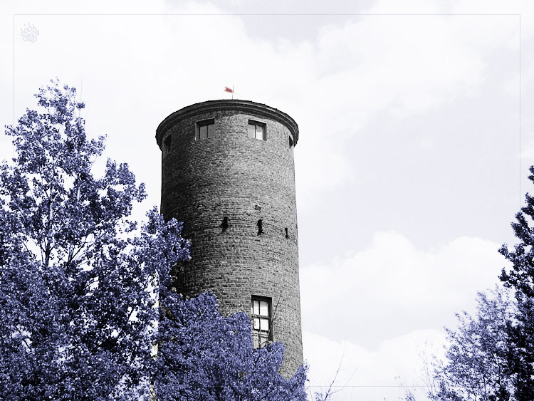 Alte Turm